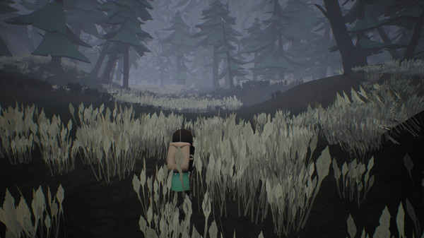 Screenshot z Bound Forest