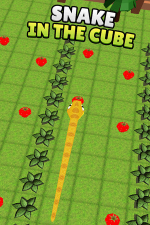 Snake In The Cube cover art