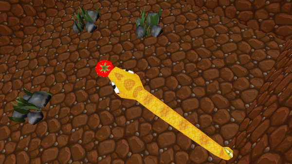 Snake In The Cube