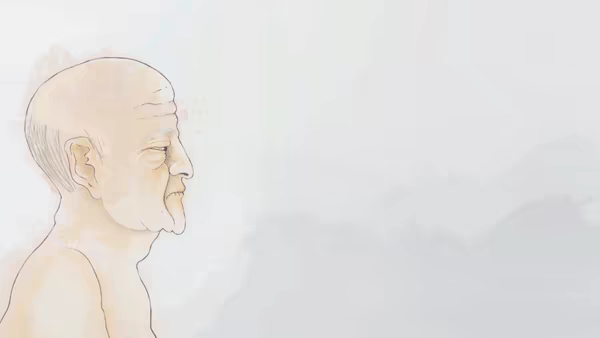 Pink Gum video 1