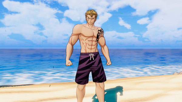 FAIRY TAIL: Special Swimsuit Costume Set for 16 Playable Characters