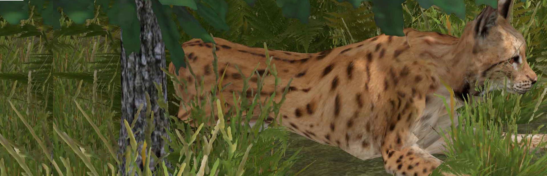 Galvatia