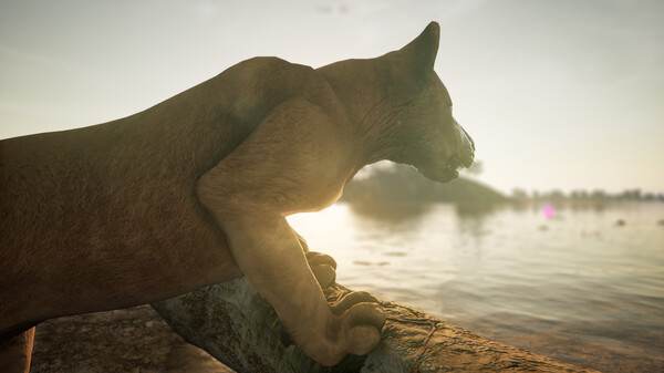 Screenshot z Animalia Survival Screenshot z Animalia Survival