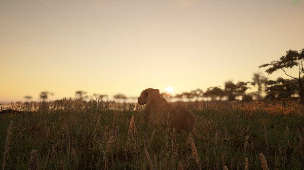 Animalia Survival screenshot