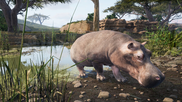 Screenshot z Animalia Survival Screenshot z Animalia Survival