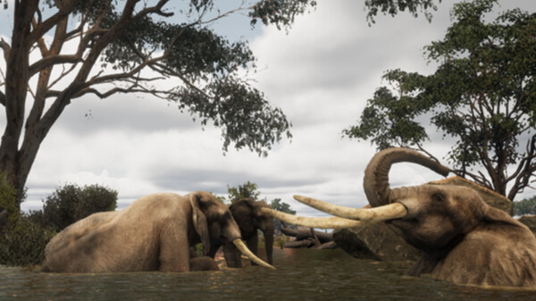 Animalia Survival