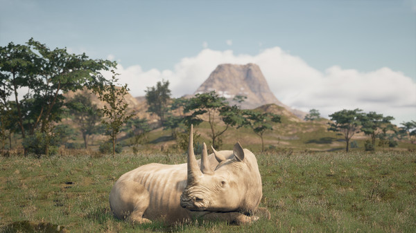 Animalia Survival