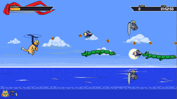 Nyanroo The Supercat.