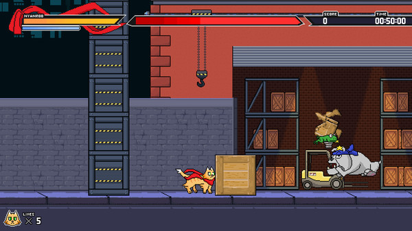 Nyanroo The Supercat.