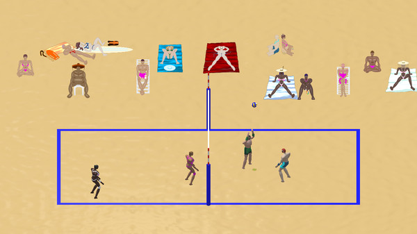 Beach Volleyball Competition