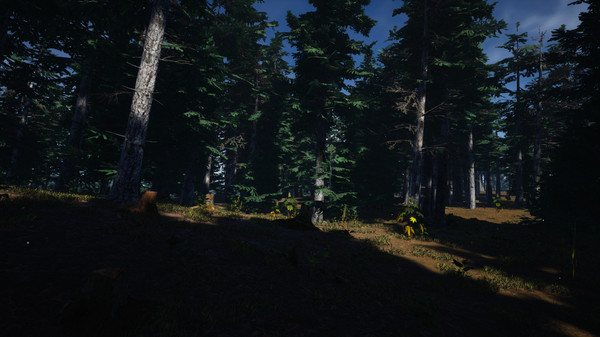 Screenshot z Mushroom Picker Simulator