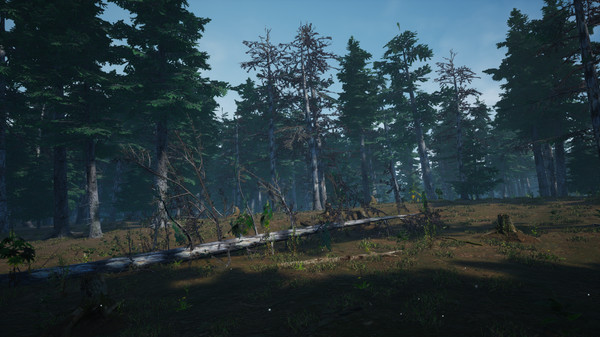 Screenshot z Mushroom Picker Simulator
