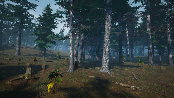 Screenshot z Mushroom Picker Simulator