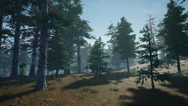 Screenshot z Mushroom Picker Simulator