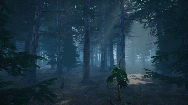 Screenshot z Mushroom Picker Simulator