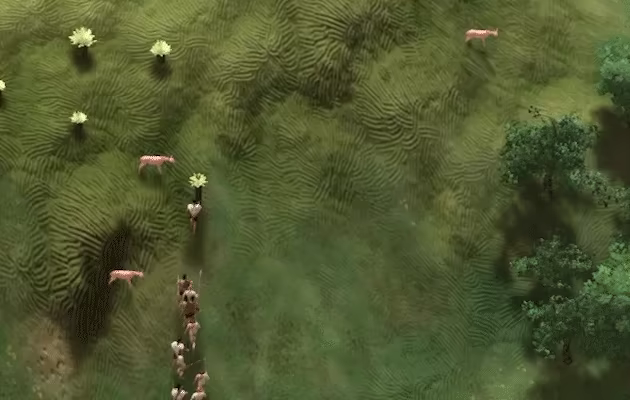 NovaMundi video 4