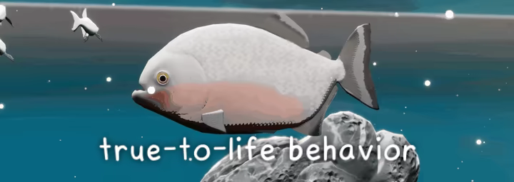 Fish Game video 2
