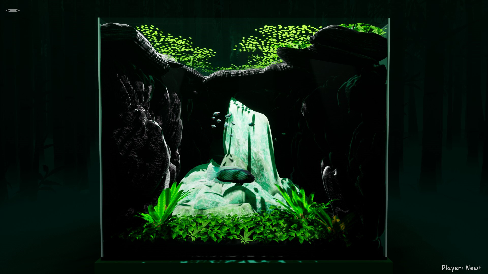 Fish Game screenshot 8