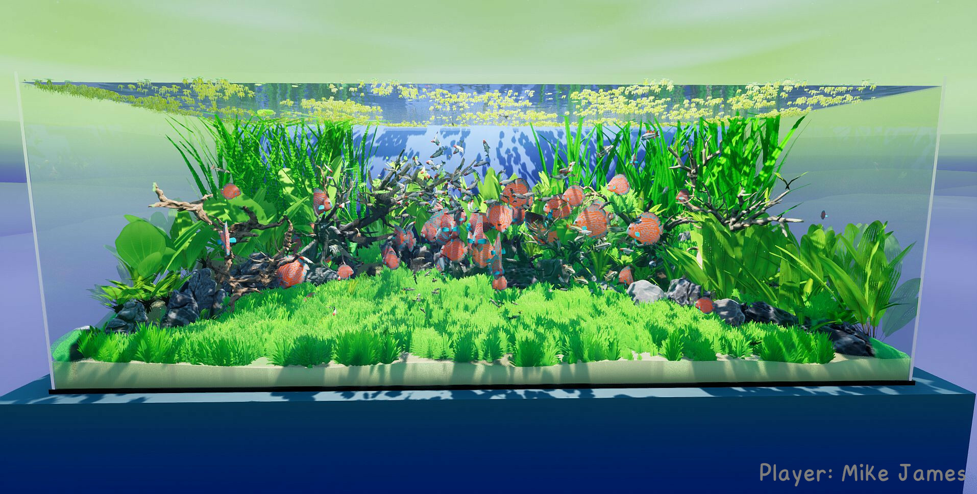Fish Game 스크린샷 5