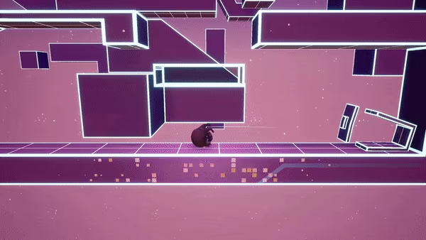 Raccoon Roller video 2
