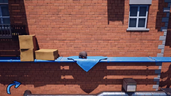 Raccoon Roller video 1