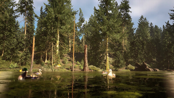 Screenshot 25