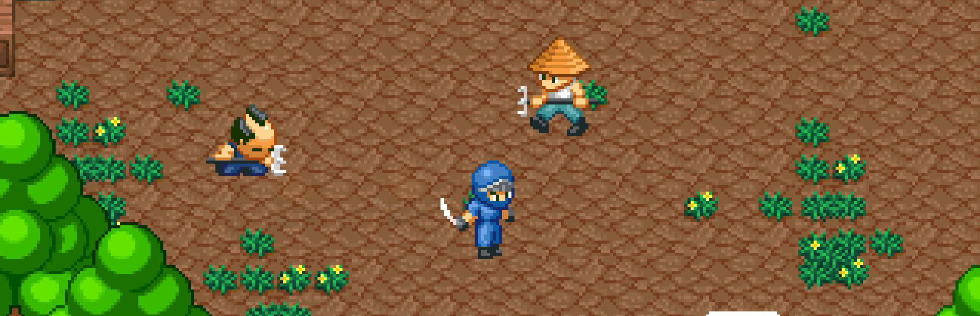 Pixel Ninja