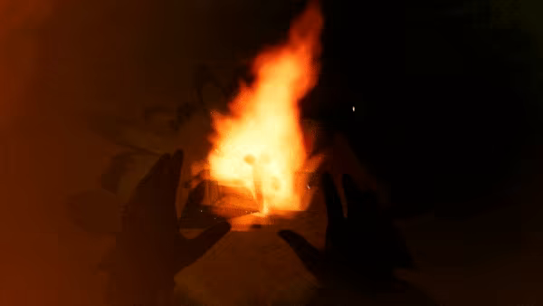WOODS Part I video 2