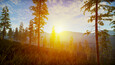 Screenshot #11