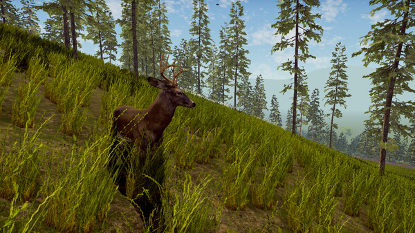 Screenshot 40