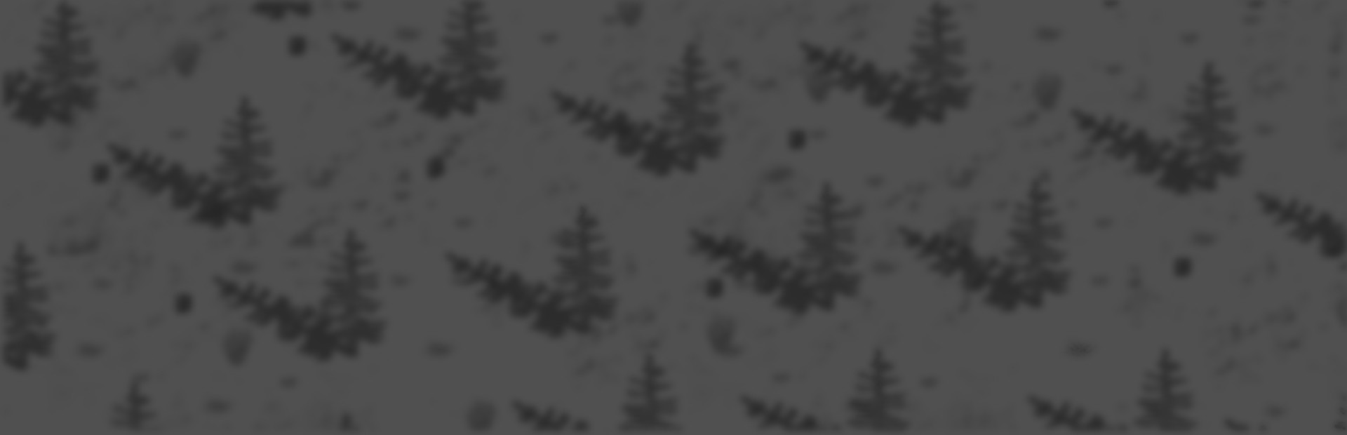 Snow Vale