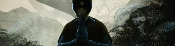 Parallel video 3