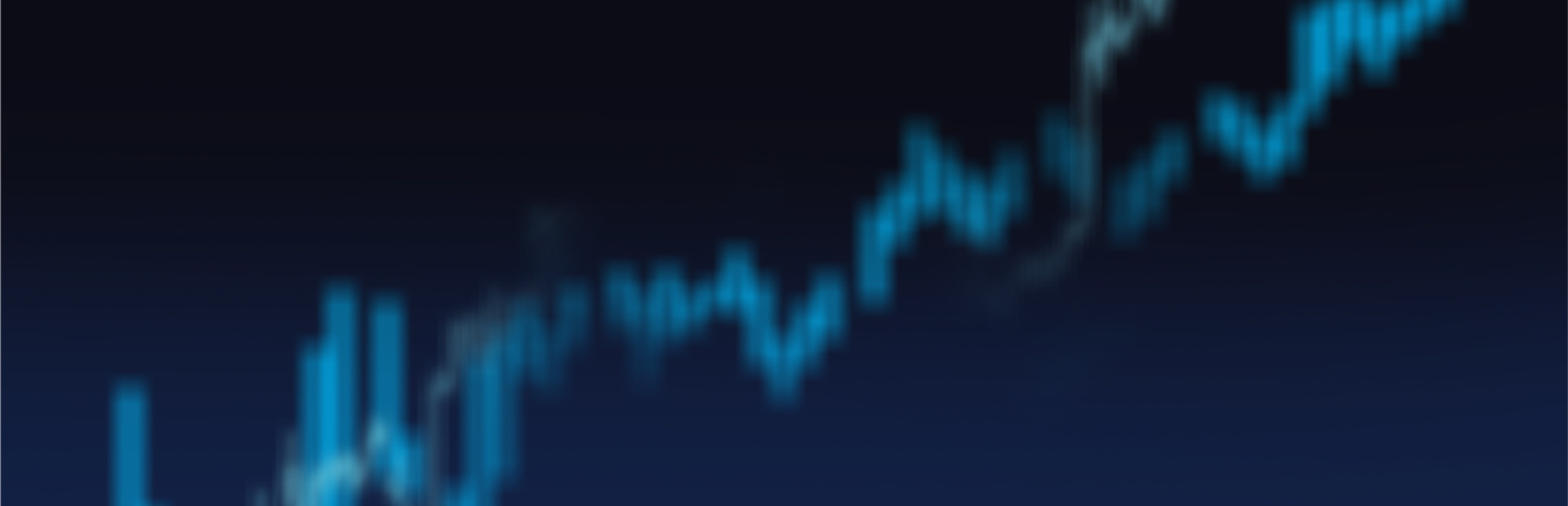 Capital Simulator