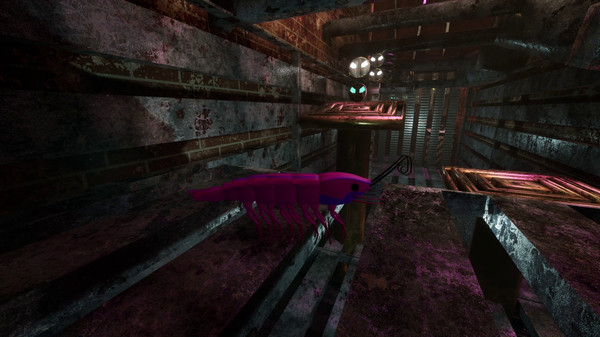 Screenshot z S H R i M P