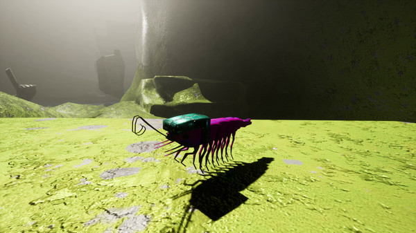 Screenshot z S H R i M P