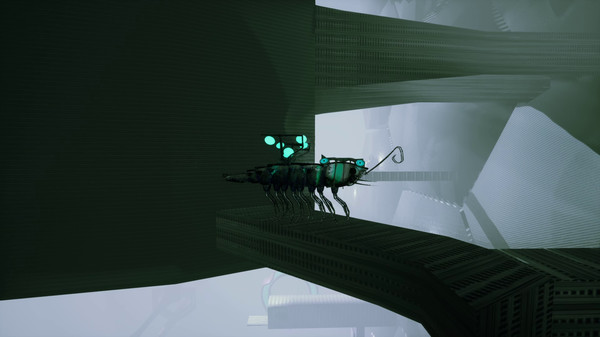 Screenshot z S H R i M P