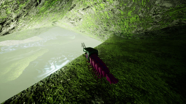 Screenshot z S H R i M P