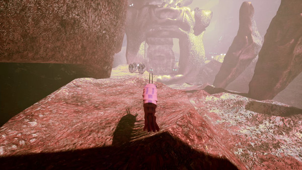 Screenshot z S H R i M P