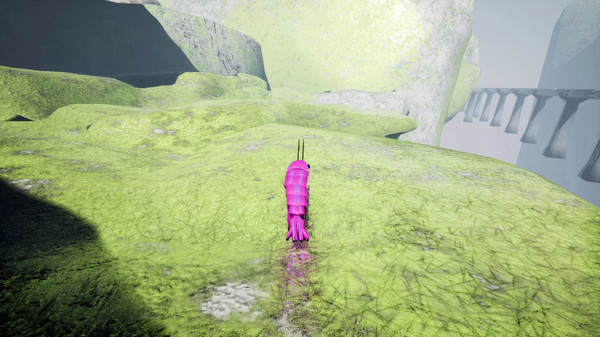 Screenshot z S H R i M P