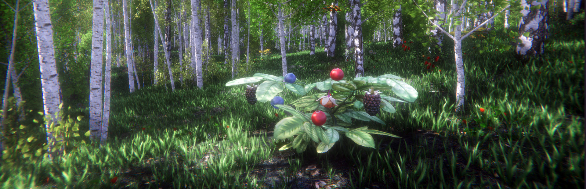 Berries Challenge