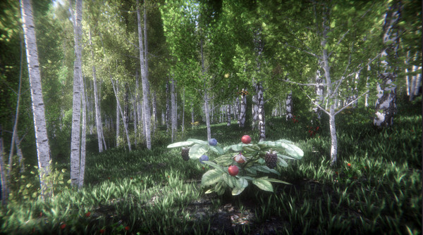Screenshot z Berries Challenge