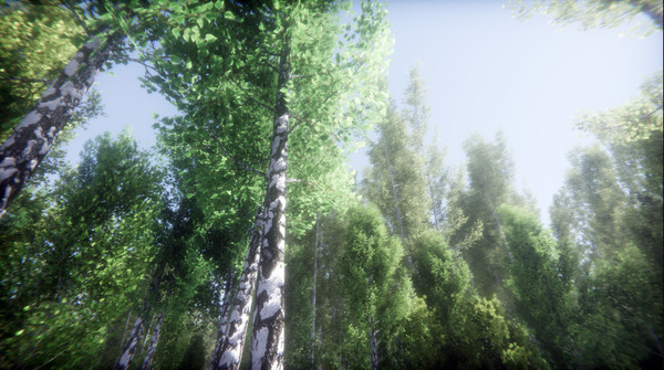 Screenshot z Berries Challenge