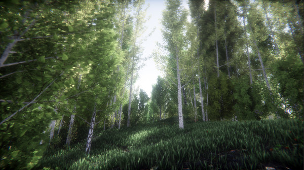 Screenshot z Berries Challenge