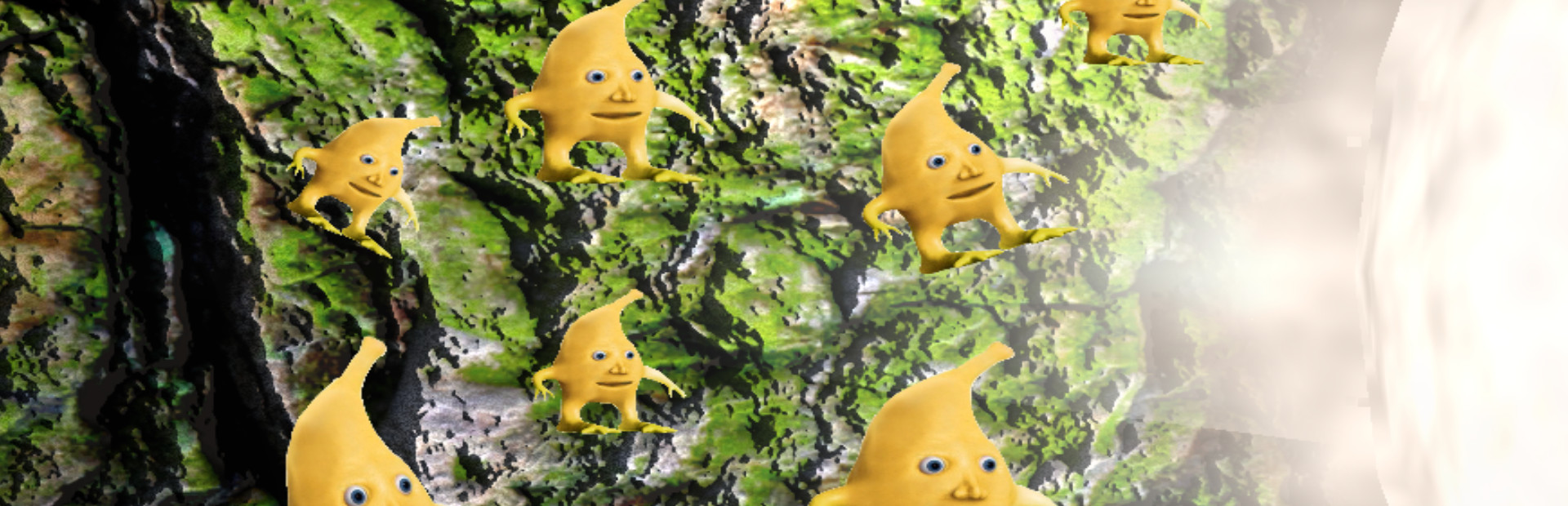 12 bananas