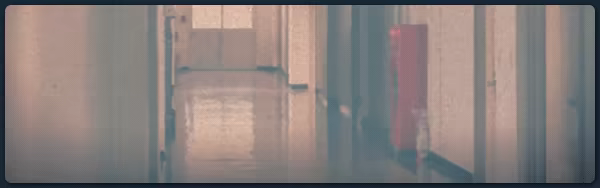 MAMIYA video 2