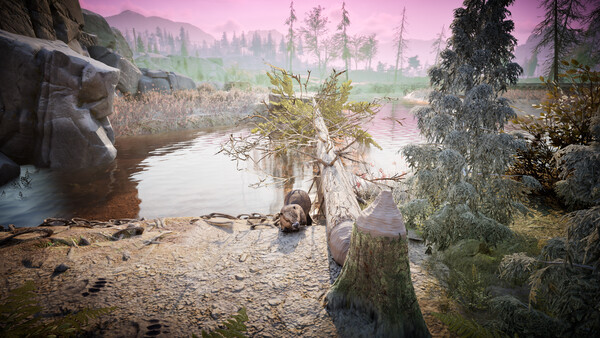 Screenshot of Winter Survival