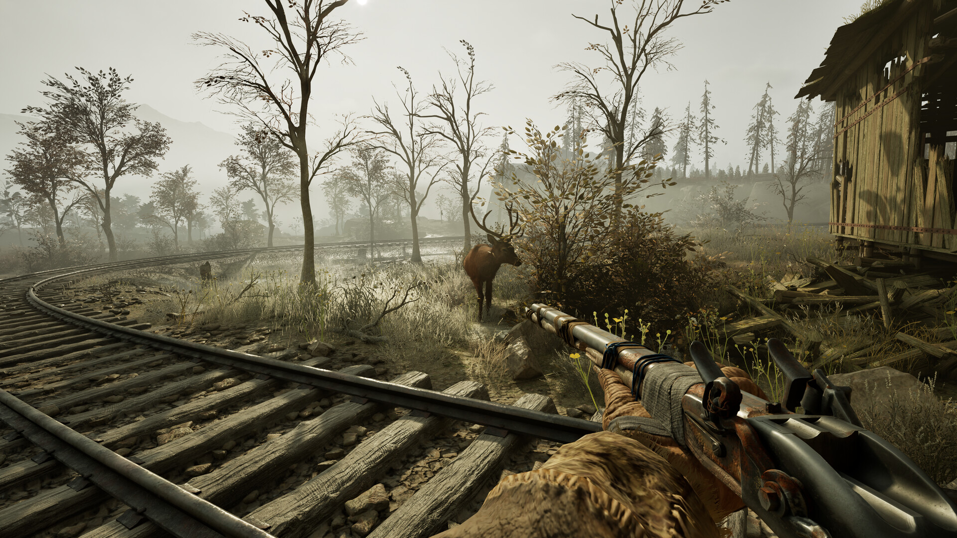 Capture 1 de Winter Survival