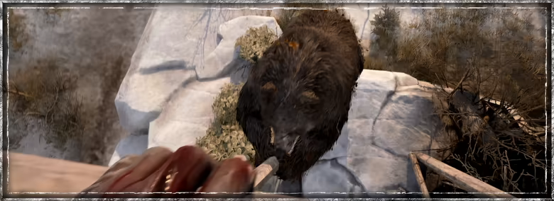 Winter Survival video 10