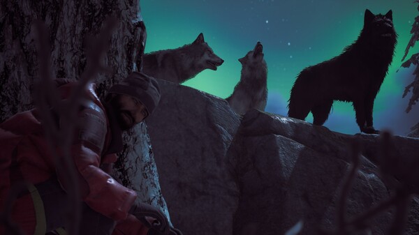 Screenshot of Winter Survival