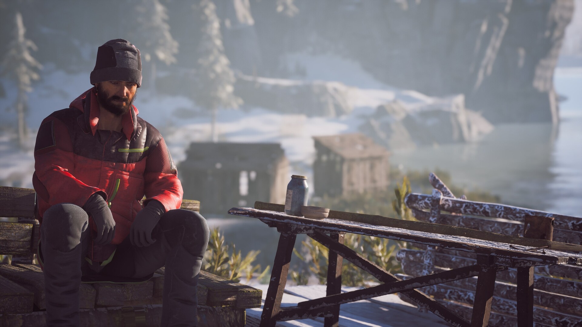 Winter Survival screenshot 1